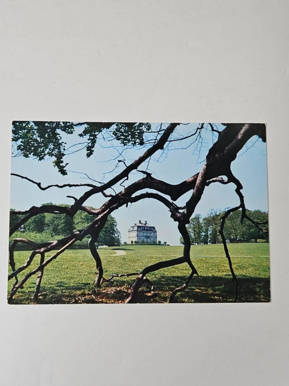 Kopenhagen The Deer Park and The Eremitage Postcard